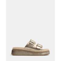 Read Wittner Reviews